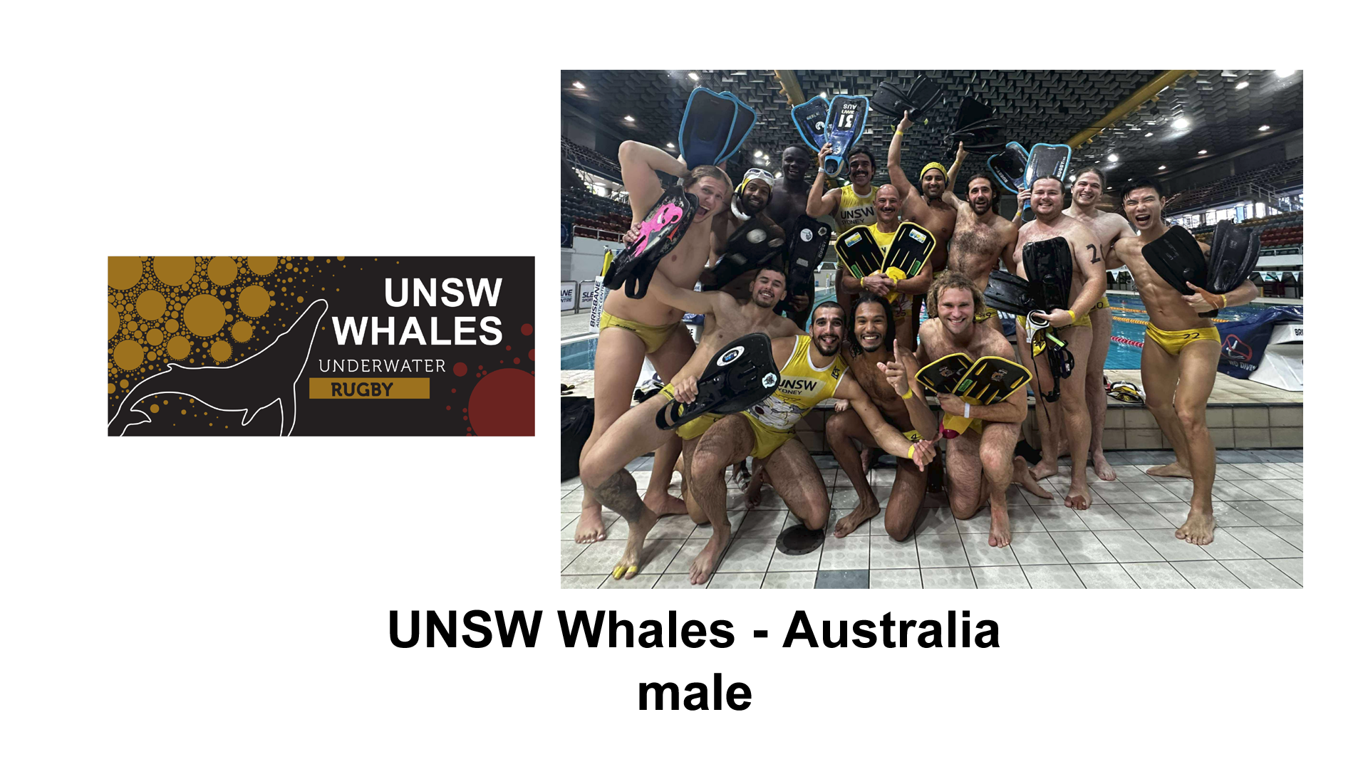 Team photo UNSW Whales